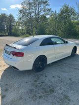 Audi RS5 4.2 FSI S tronic quattro - - Audi RS5 mit Benzin-Antrieb