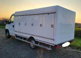 Iveco  35S11 CARLSEN|TIEFKÜHL|EIS|ICE|5/5|MOTORSCHADEN - Iveco Kastenwagen hoch + lang 35 c 1