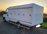 Iveco 35S11 CARLSEN|TIEFKÜHL|EIS|ICE|5/5|MOTORSCHADEN - Angebote entsprechen deinen Suchkriterien