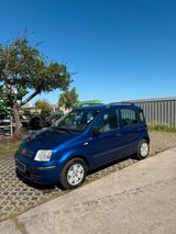Fiat panda - Fiat Panda Gebrauchtwagen in Frankfurt