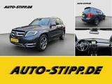 Mercedes-Benz GLK 220 CDI 4Matic NAVI SPURH BLIS TEMP RFK AHK - Mercedes-Benz GLK-Klasse Gebrauchtwagen