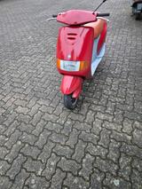 Piaggio Der Rote Baron sfera rst 50 - PIAGGIO SFERA 50