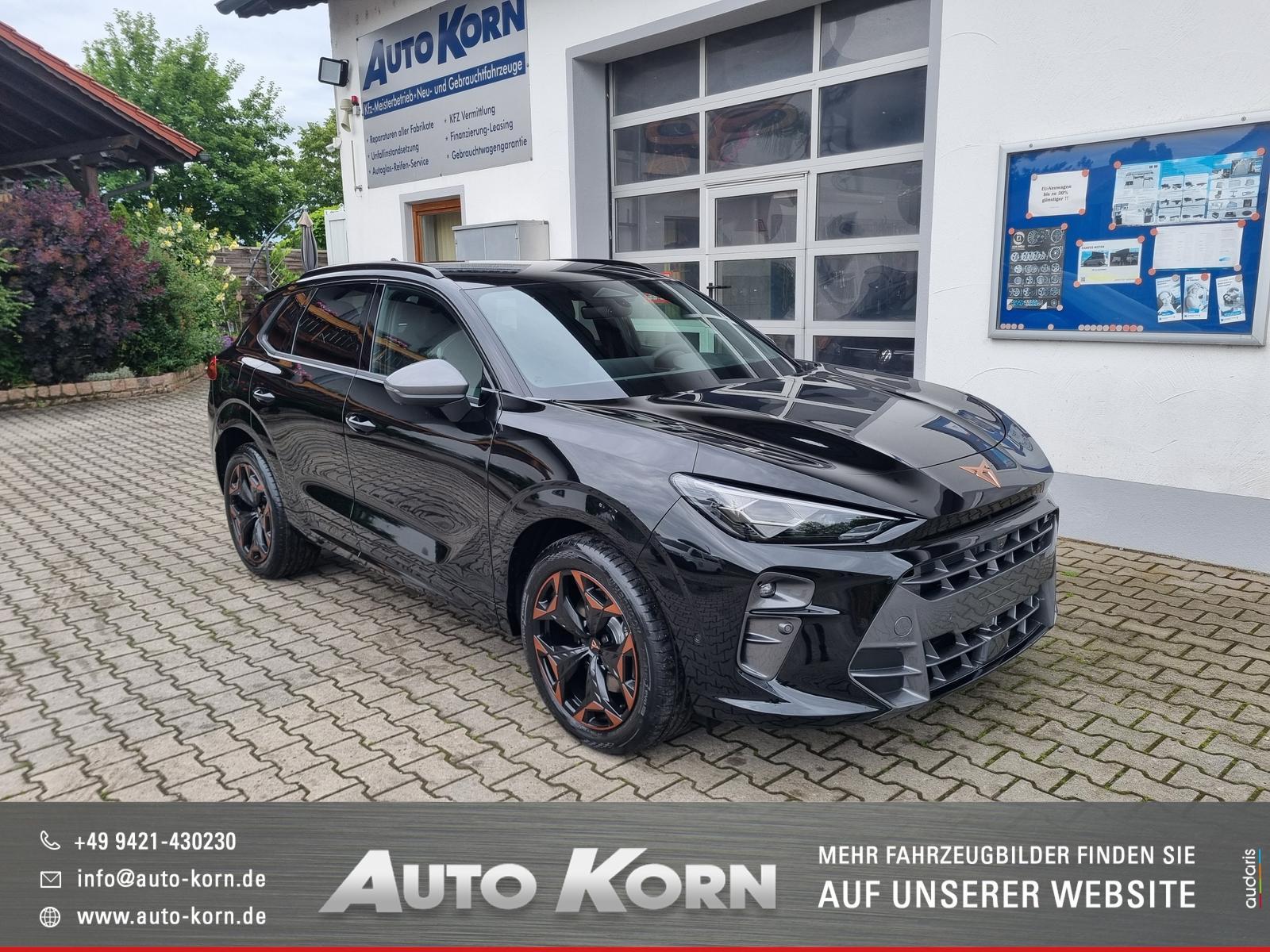 Cupra Raval Endurance 52/55 155 KW / 211 PS