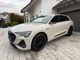 Audi e-tron 50 quattro S line *Matrix*360*B&O - mit Elektro-Antrieb: Beige