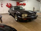 Jaguar XJS 6,0 - Jaguar aus 1993