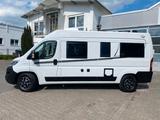 Carado Clever CVE600/Fiat Ducato/wie Pössl /Kastenwagen - Carado Wohnmobil oder -wagen