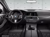BMW X5 xDrive40d M-Sportpaket, 22-Zoll Alufelgen, Pa - BMW: Alufelgen