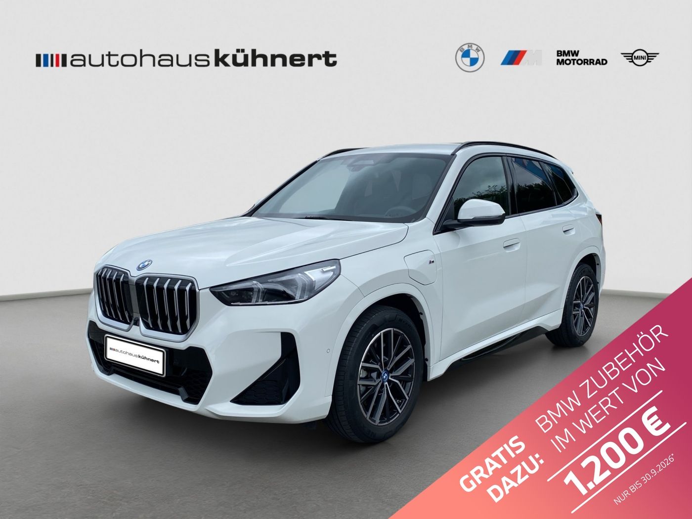 BMW X1 xDrive30e ///M-Sport ACC AHK HUD ParkA+ foto 1