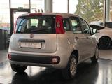 Fiat Panda 1.2 8V Easy CityPaket+ Connect Sitzhzg DAB - Fiat Panda bis 10.000 Euro