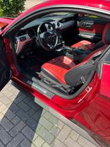 Ford Mustang 5.0 Ti-VCT V8 GT GT - gebrauchte Ford Mustang aus dem Jahr 2017