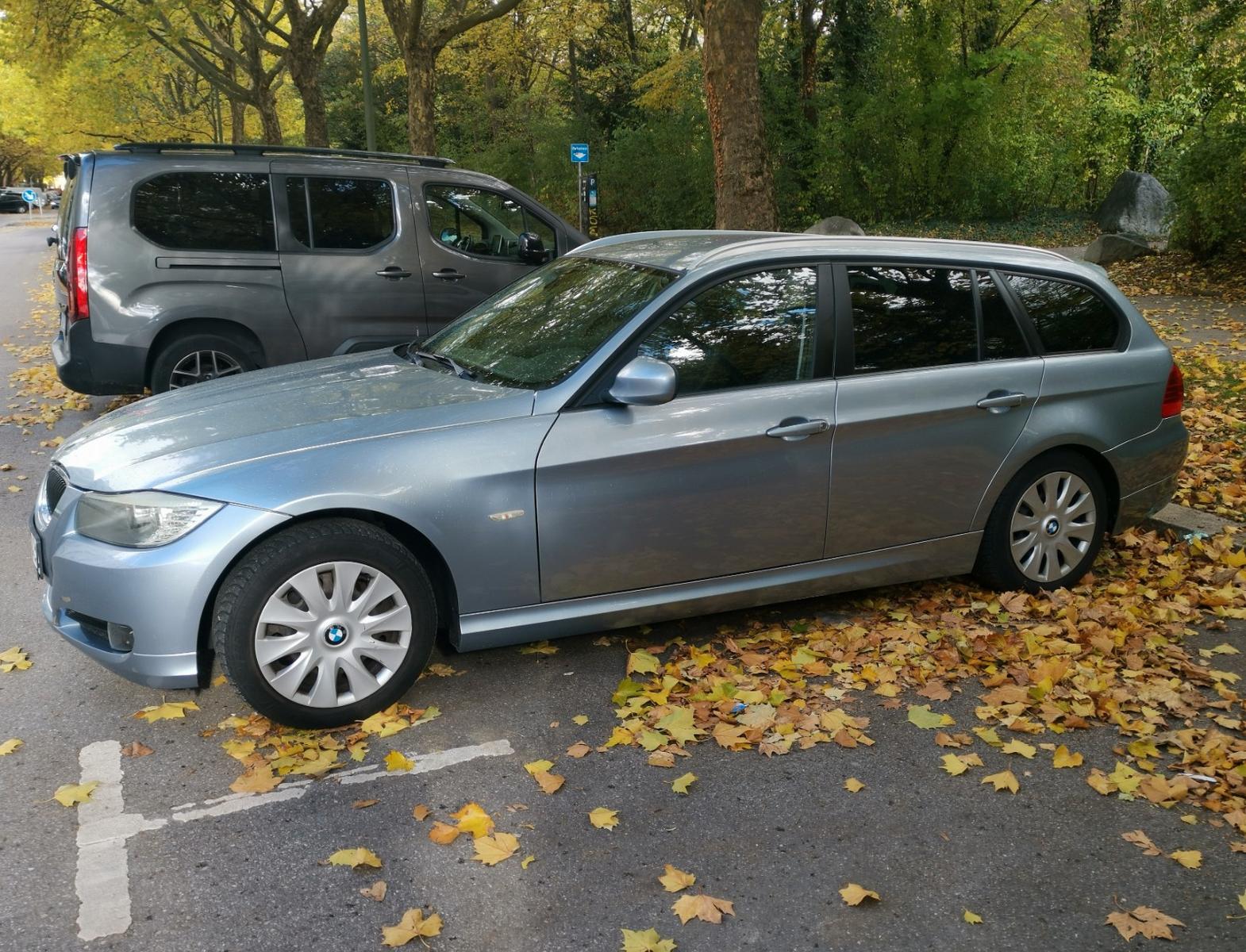 BMW 318 2011 — rear view