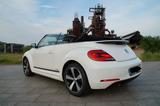 Volkswagen Beetle CUP Cabriolet Leder Klima Xenon Sitzh.Alu - Volkswagen Beetle in Bochum