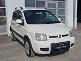 Fiat Panda 1.2 8V Climbing  4X4 *HU neu* - gebrauchte Fiat Panda aus dem Jahr 2011