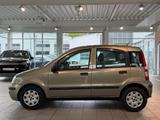 Fiat Panda 1.2 8V Dynamic* 1.HAND * TÜV NEU * BLUET.* - gebrauchte Fiat Panda aus dem Jahr 2009