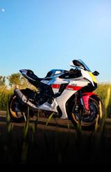 Yamaha YZF-R1 RN65 WGP 60TH ANNIVERSARY EDITION - YAMAHA YZ65