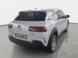 Citroën C4 CACTUS 1.2 PURETECH SHINE GRA WINTER - gebrauchte Citroën C4 Cactus aus dem Jahr 2019