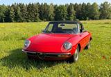 Alfa Romeo Alfa Spider 1600, Cabrio, Oldtimer, Bj 197... - Alfa Romeo Spider 1600 Gebrauchtwagen