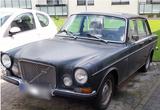 Volvo 164 Grün, Bj. 1969 - Volvo: B 16