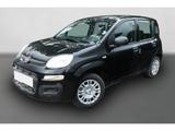 Fiat Panda 1.0 GSE Hybrid 48 kW Klima DAB Parksensore - Fiat Panda Gebrauchtwagen in Berlin