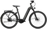 Flyer Gotour6 3.40 XL Comf - Offers matching your search criteria