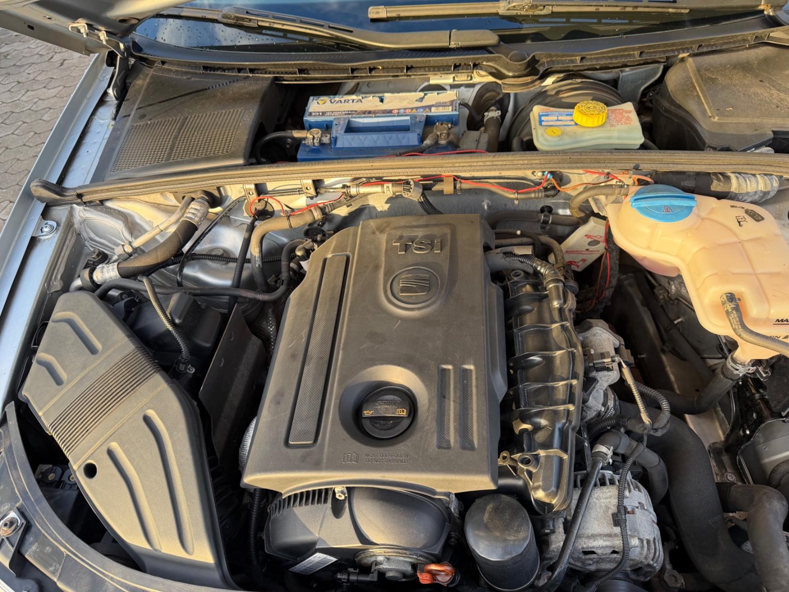 Seat Exeo 2010 — photo 8