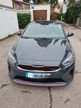Kia ProCeed 1.6 T-GDI GT  8Fach/Dachträger/AHK/Klima - Kia pro cee'd / ProCeed: Privatanbieter
