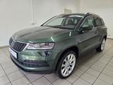Skoda Karoq 2.0 TDI 4x4 LED Leder Virtual Kamera AHK - Skoda Karoq in Chemnitz