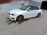 BMW M240i xDrive Cabrio -Ohne OPF, TÜV/Service neu - BMW M240i von privat