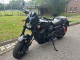 Harley-Davidson Street Rod XG 750  - Offers matching your search criteria
