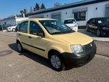 Fiat Panda 1.1 8V Active - Fiat Panda: Gelb