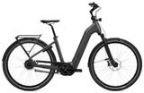 Flyer Gotour 5.43R M Comf - Flyer E-Bikes