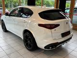 Alfa Romeo Stelvio Quadrifoglio Q4 |HARMAN-KARDON|ACC|LED| - Alfa Romeo aus 2018