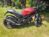 Ducati M600 Dark - Offers matching your search criteria