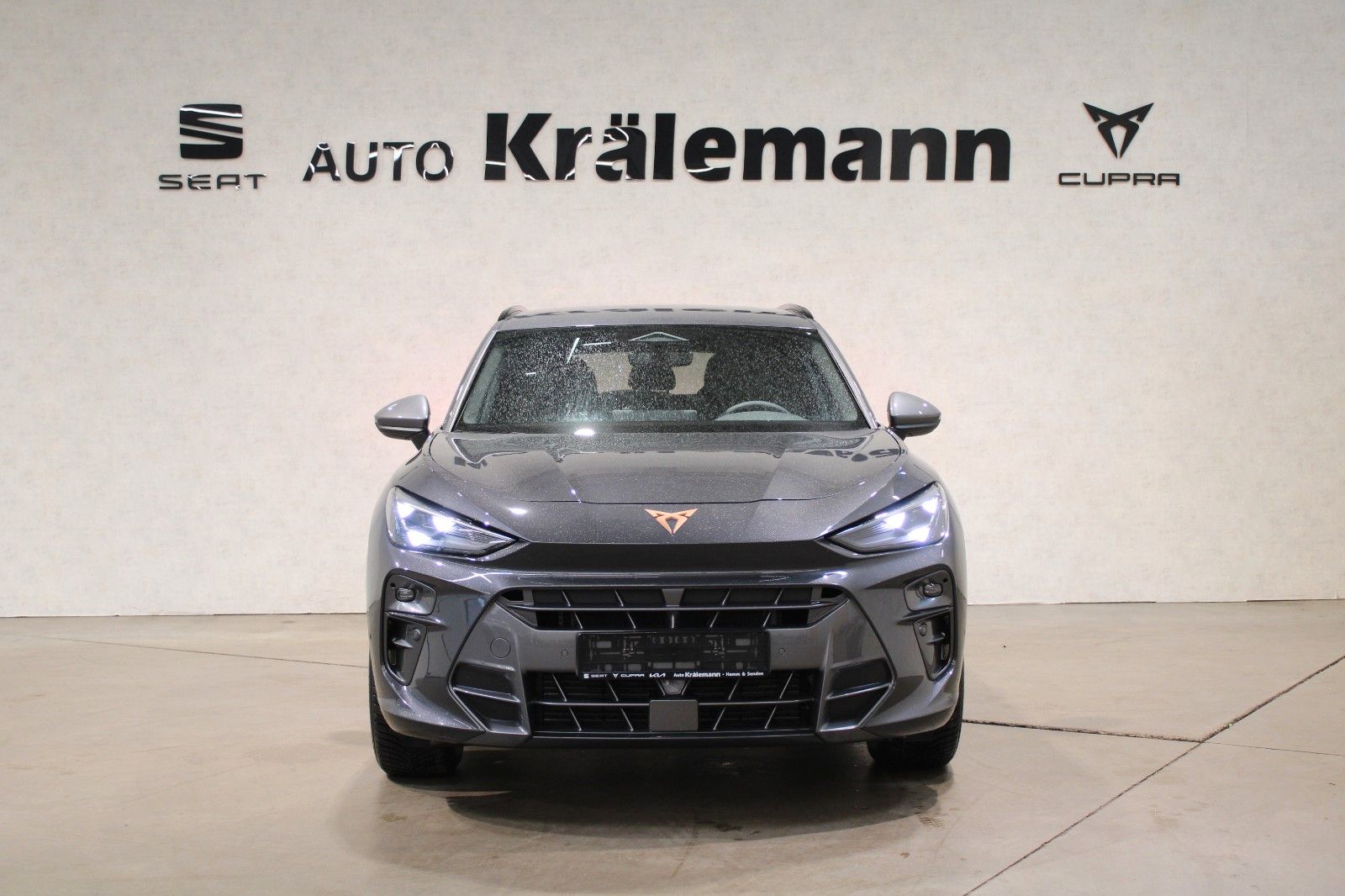 Cupra Terramar - Bild 2