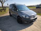 Volkswagen Caddy 2.0 TDI DSG 4Motion | 1.Hand | TÜV neu - VW Caddy von privat