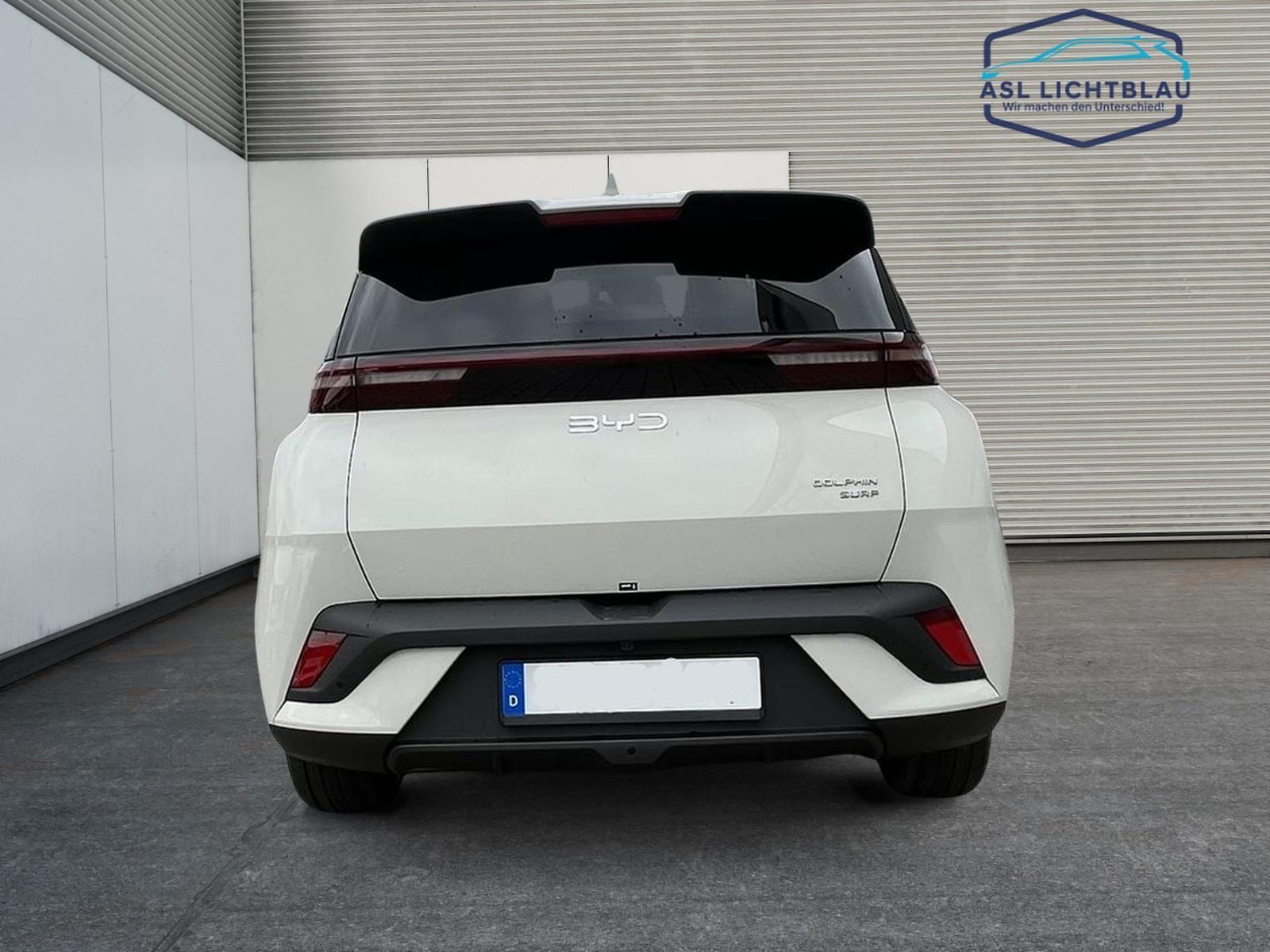BYD DOLPHIN SURF