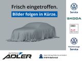 Volkswagen Golf VII Variant Alltrack 2.0 TDI 135 kW 6-Gang- - Volkswagen Golf: 6.1