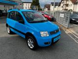 Fiat Panda 1.2 Climbing 4X4 überholter Motor bei 160t - Fiat Panda: Allradantrieb