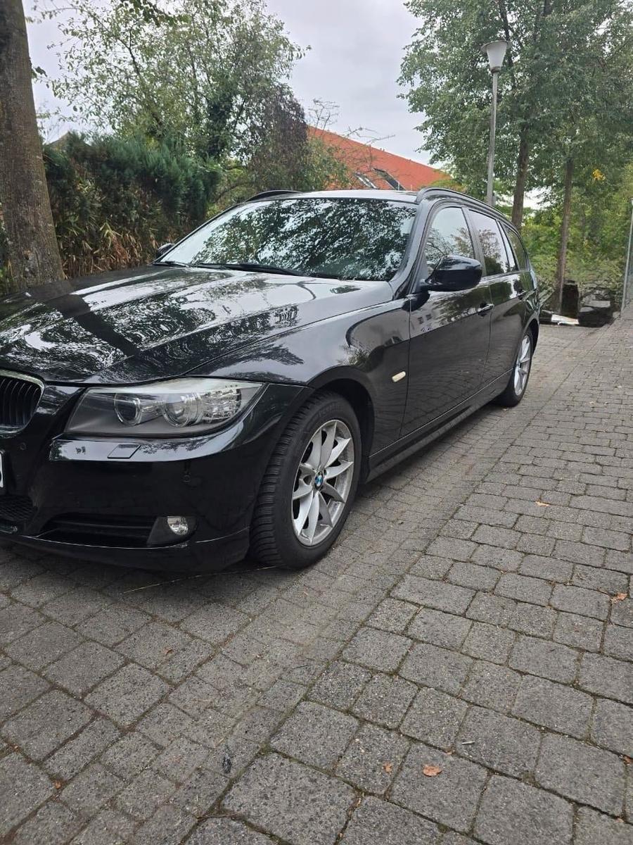 BMW 318 2010 — салон