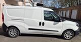 Fiat Doblo Cargo Frischedienst Fahr- und Standkühlung - Fiat Doblo in Düsseldorf