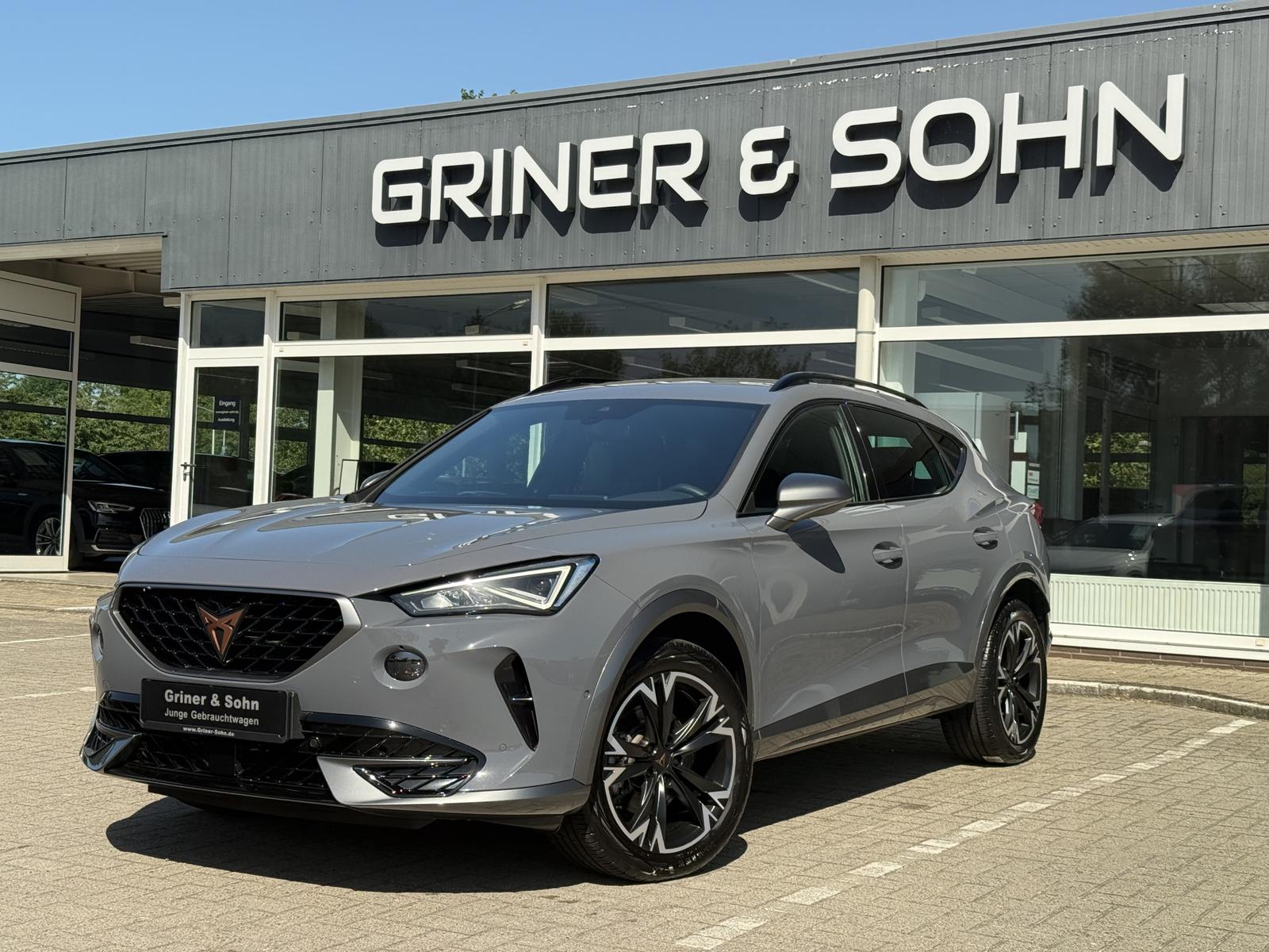 Cupra Formentor 18-Zoll,R-Kam,Winter,ACC,Ambiente-2