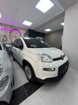 Fiat Panda 1.0 FireFly 70cv S&S Hybrid - Fiat Panda: Fire