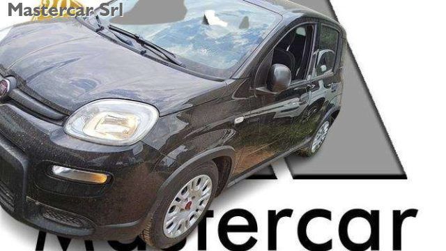 Image of Fiat Panda