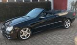 Mercedes-Benz CLK 350 AVANTGARDE AMG-Paket - Mercedes-Benz CLK 350: AMG