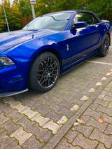 Ford Mustang Shelby GT500 - Ford Mustang Gebrauchtwagen in Frankfurt