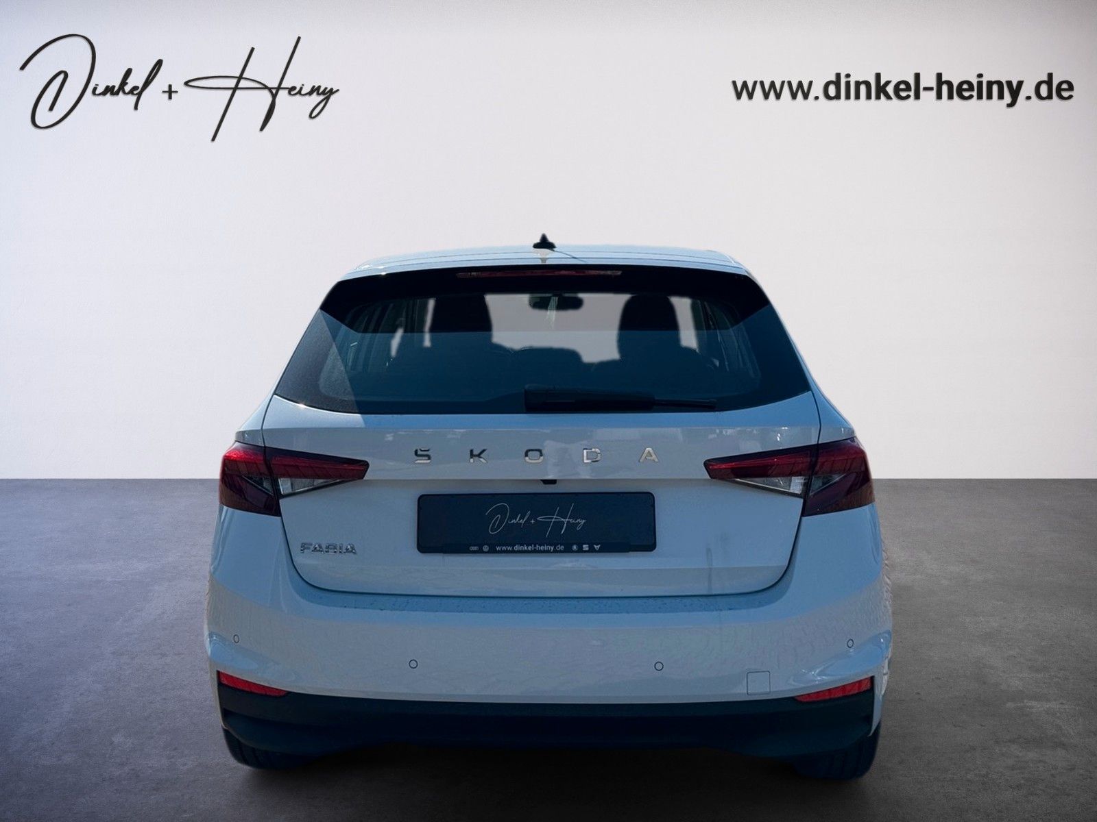 Fahrzeugabbildung SKODA Fabia Selection 1.0TSI