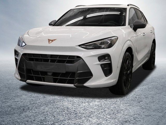 Image of Cupra Terramar