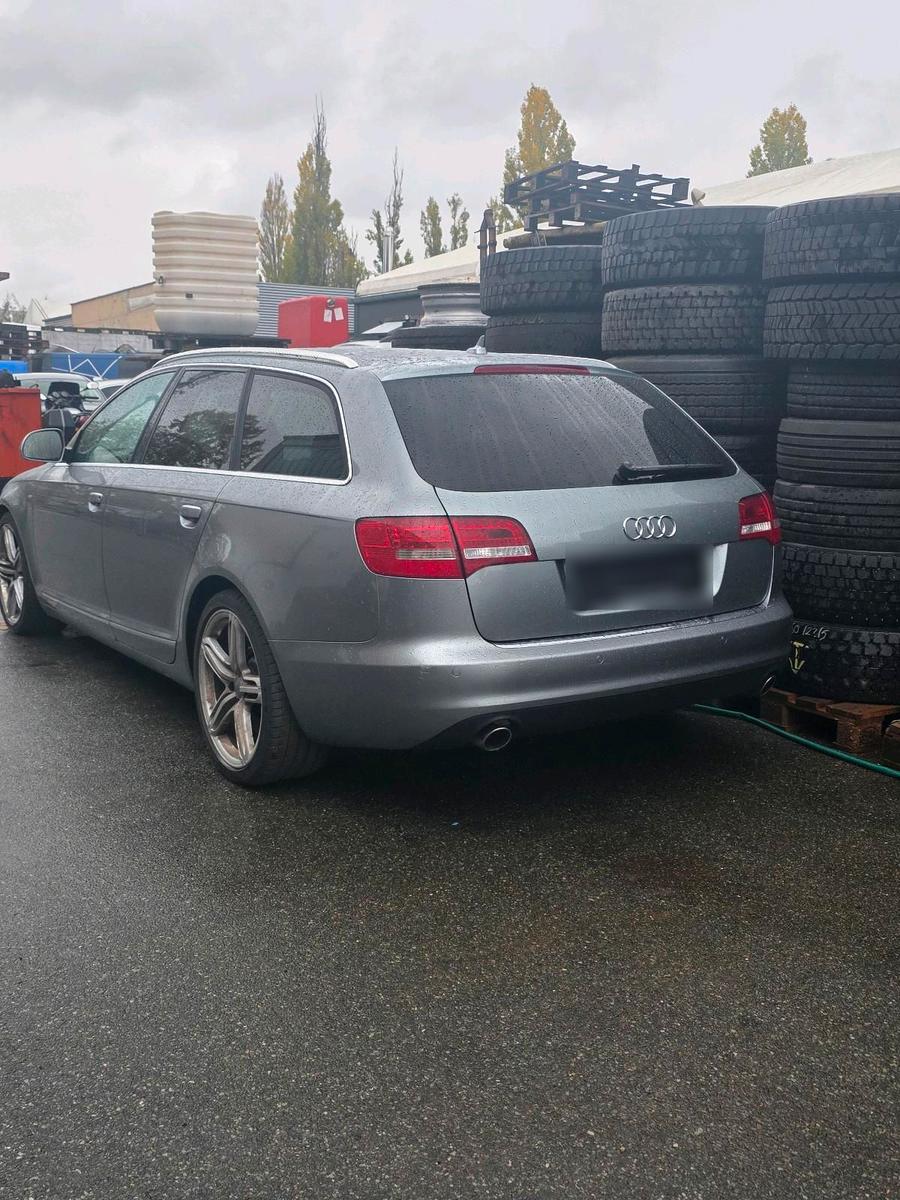 Audi Quattro 2010 — rear view