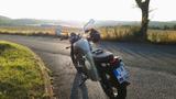 Triumph Street Scrambler 900 Sandstorm - TRIUMPH SCRAMBLER