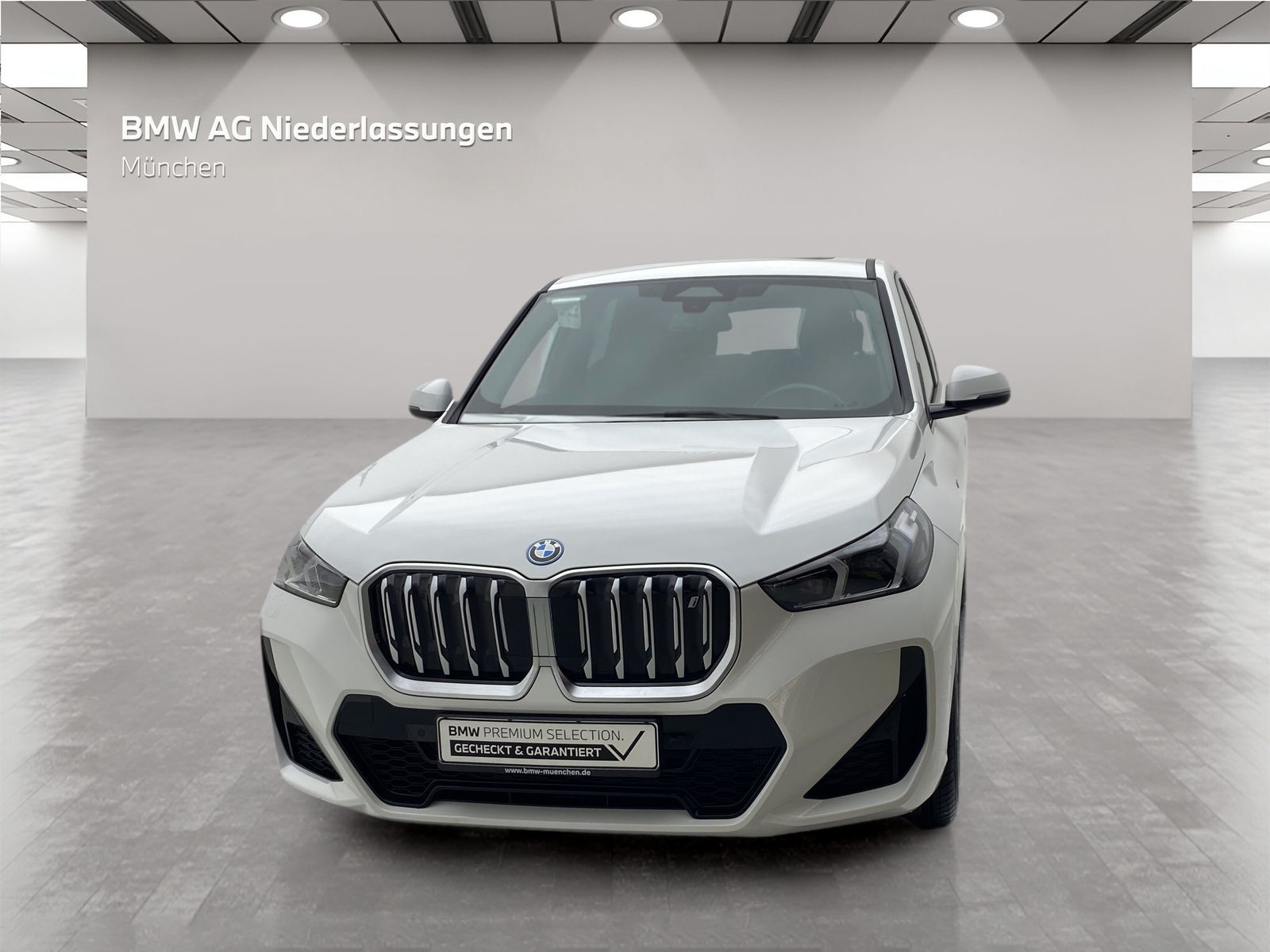 BMW iX1 xDrive30 M Sport AHK Harman K Kamera LED foto 3